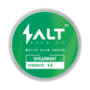 Salz Spearmint Nikotinbeutel