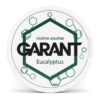 Garant - Mint 8mg - Tobacco-free snus, extra strong nicotine pouches (16mg). Best price in UK, UAE, EU